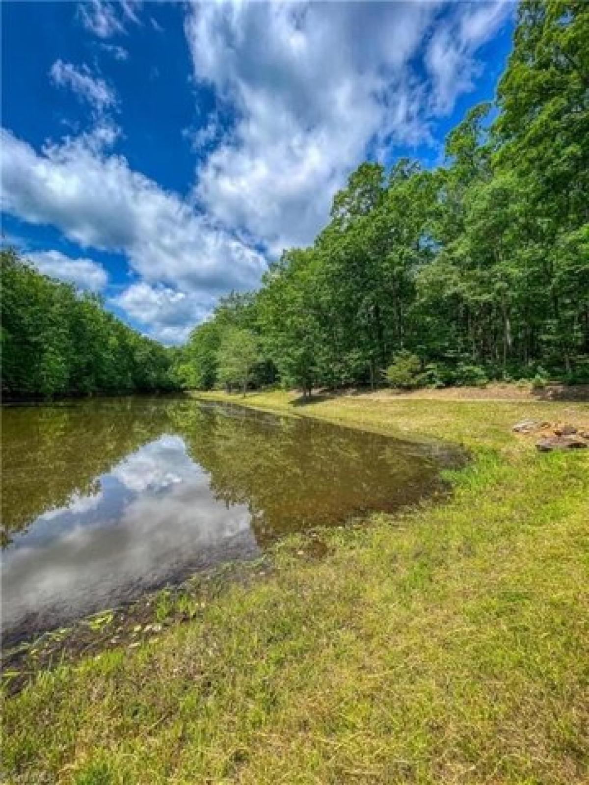 Picture of Residential Land For Sale in Denton, North Carolina, United States