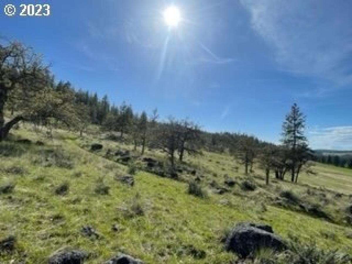Picture of Residential Land For Sale in Goldendale, Washington, United States