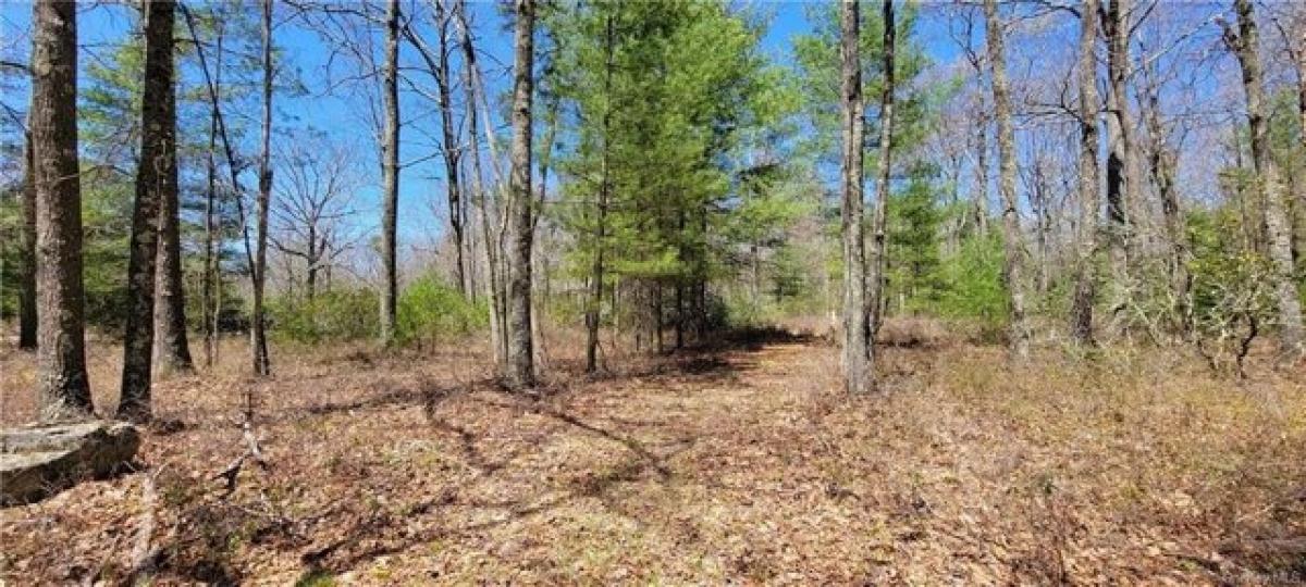 Picture of Residential Land For Sale in Bethel, New York, United States
