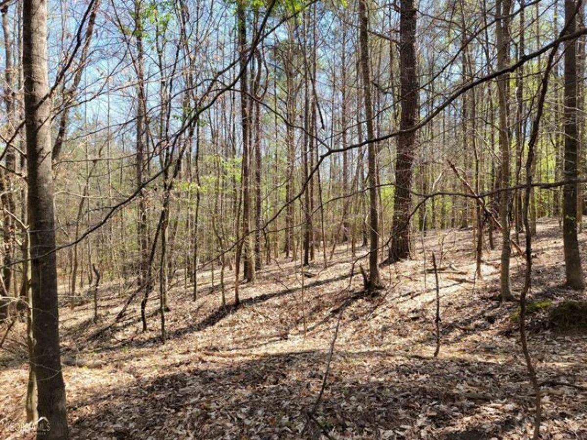 Picture of Residential Land For Sale in Summerville, Georgia, United States