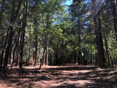 Residential Land For Sale in Cave Junction, Oregon