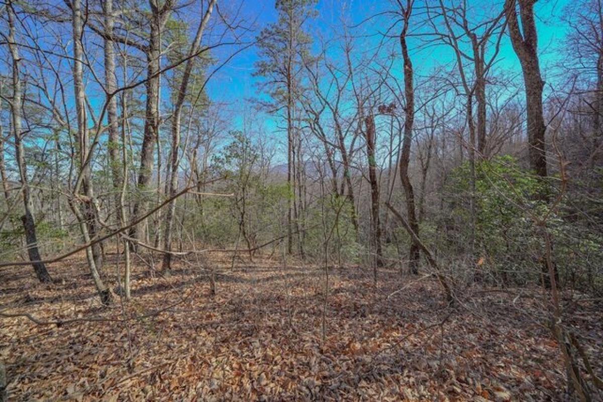 Picture of Residential Land For Sale in Gatlinburg, Tennessee, United States