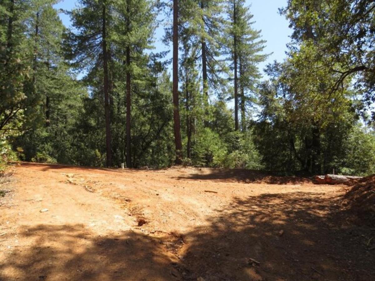 Picture of Residential Land For Sale in Gold Run, California, United States