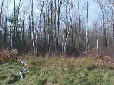 Residential Land For Sale in Merrill, Wisconsin
