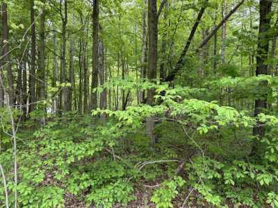 Residential Land For Sale in Allegan, Michigan