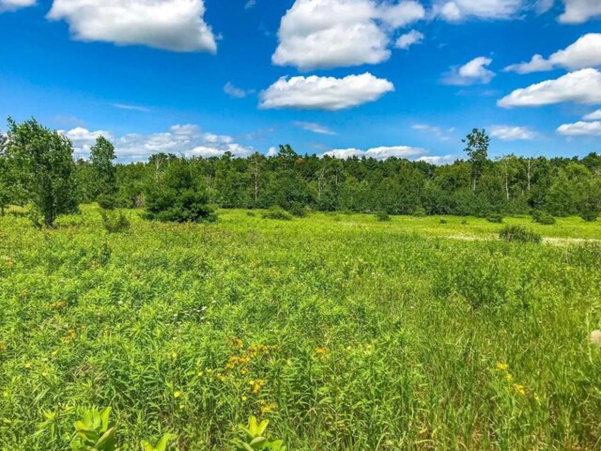 Picture of Residential Land For Sale in Merrill, Wisconsin, United States