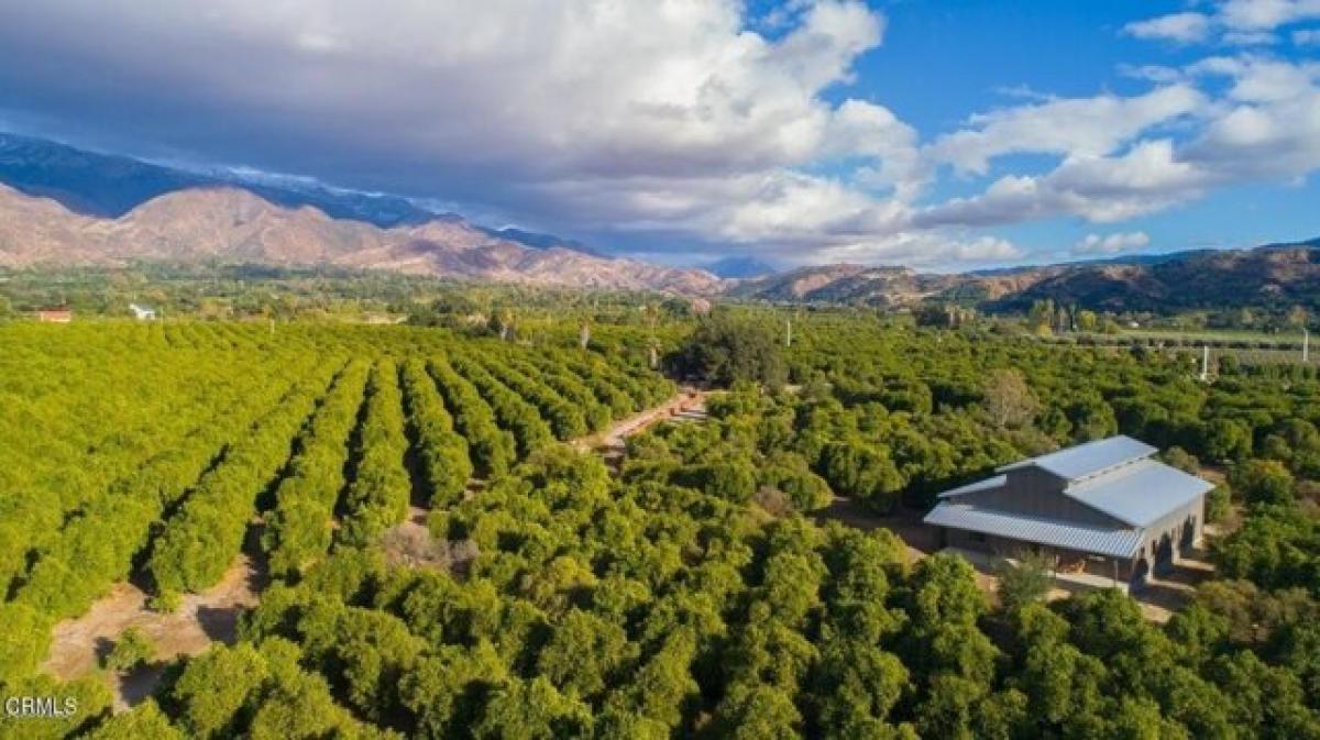 Picture of Residential Land For Sale in Ojai, California, United States