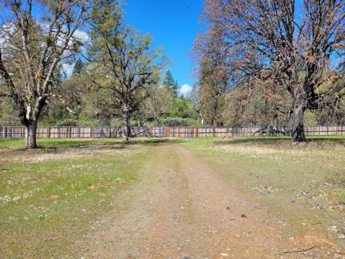 Picture of Residential Land For Sale in Hayfork, California, United States