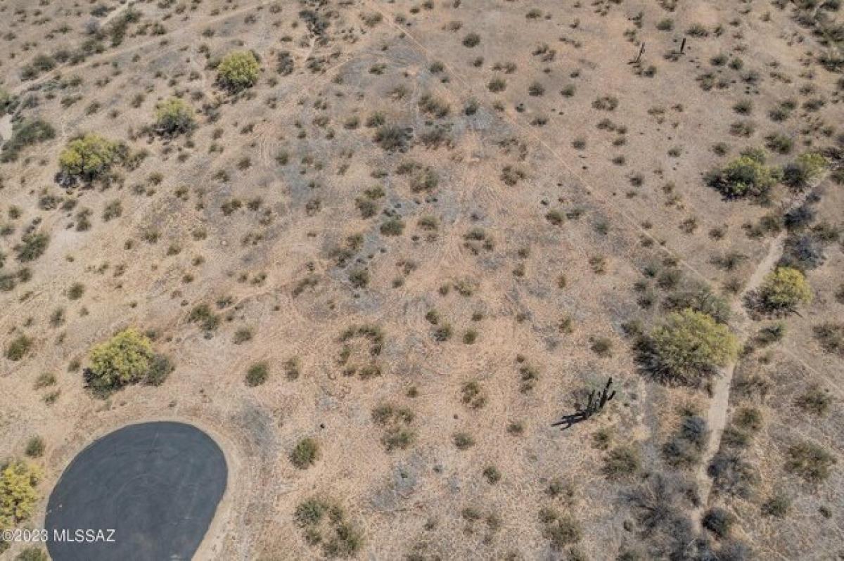 Picture of Residential Land For Sale in Marana, Arizona, United States