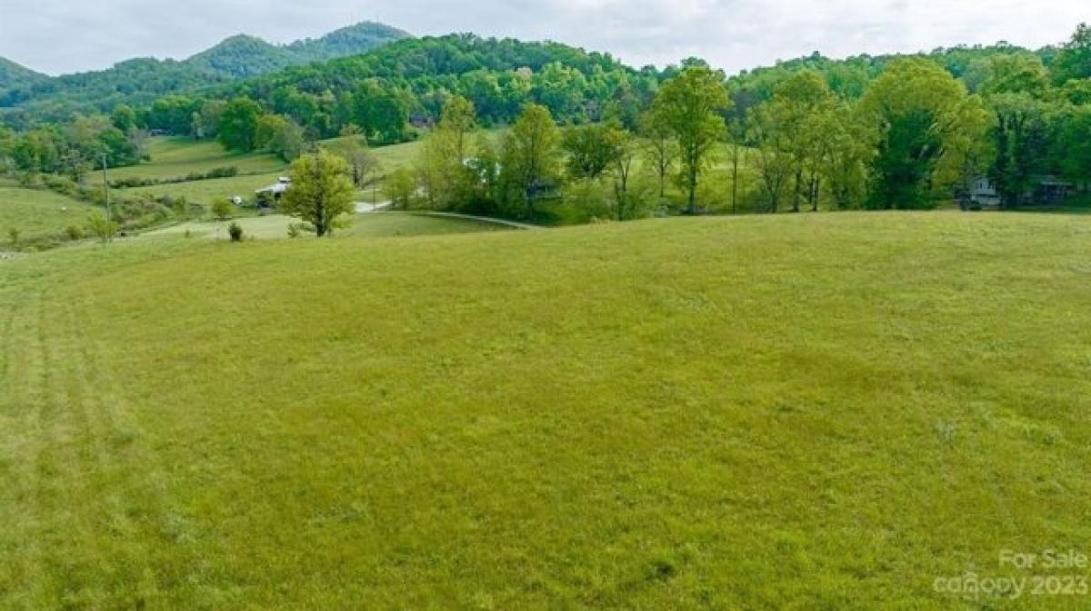 Picture of Residential Land For Sale in Candler, North Carolina, United States