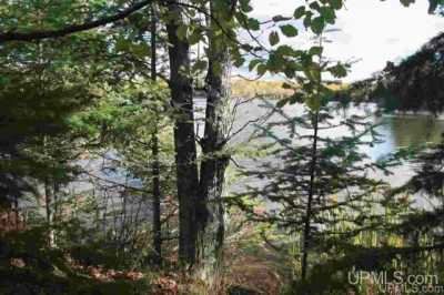 Residential Land For Sale in Stambaugh, Michigan