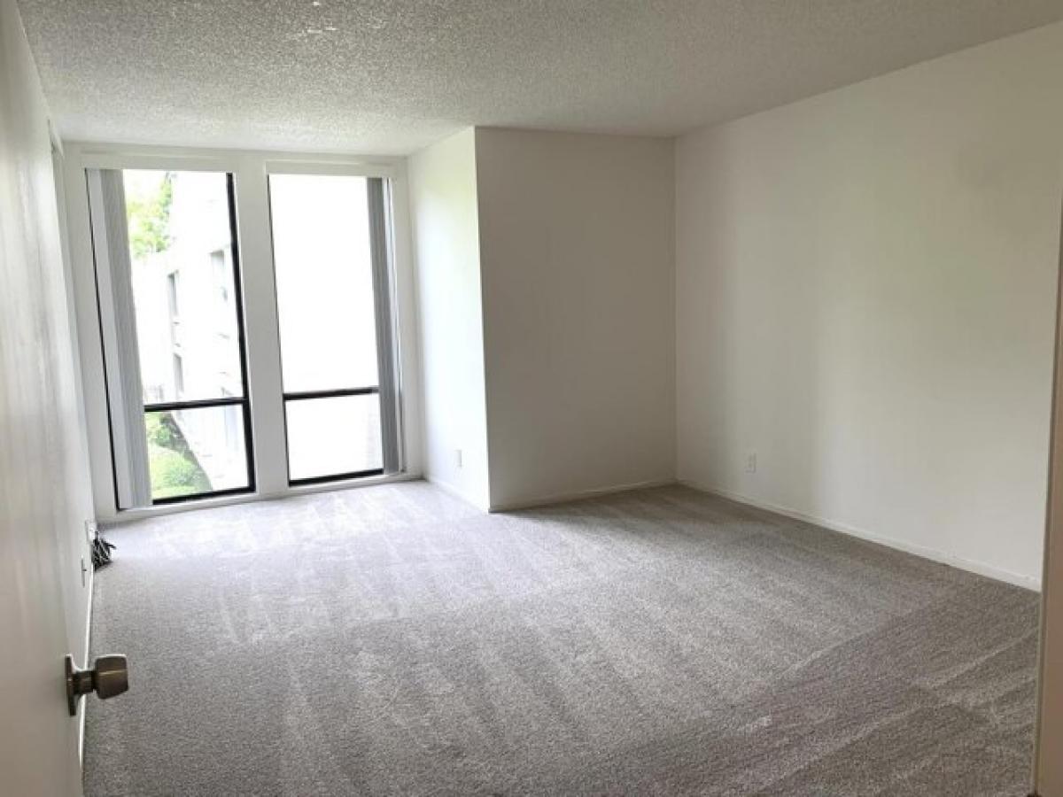 Picture of Apartment For Rent in Foster City, California, United States