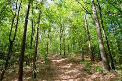 Residential Land For Sale in Council, North Carolina