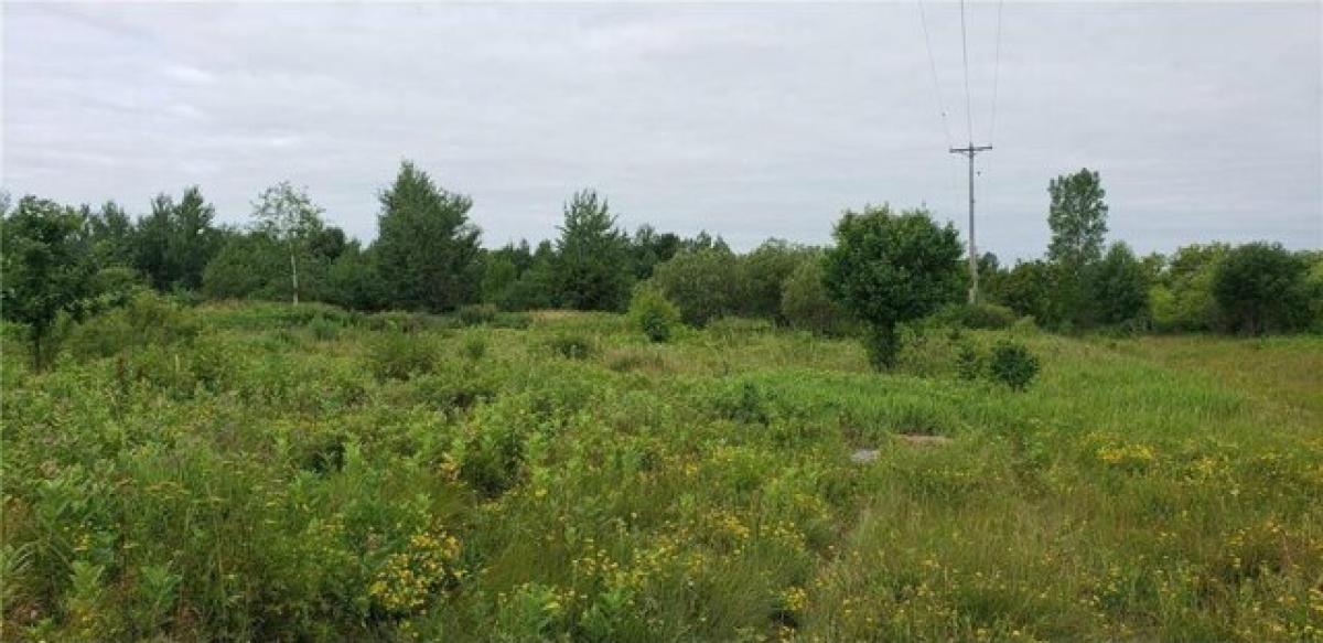 Picture of Residential Land For Sale in Almena, Wisconsin, United States