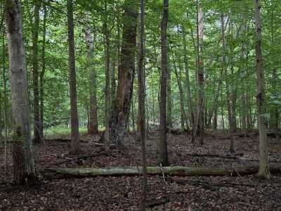 Residential Land For Sale in Sewanee, Tennessee