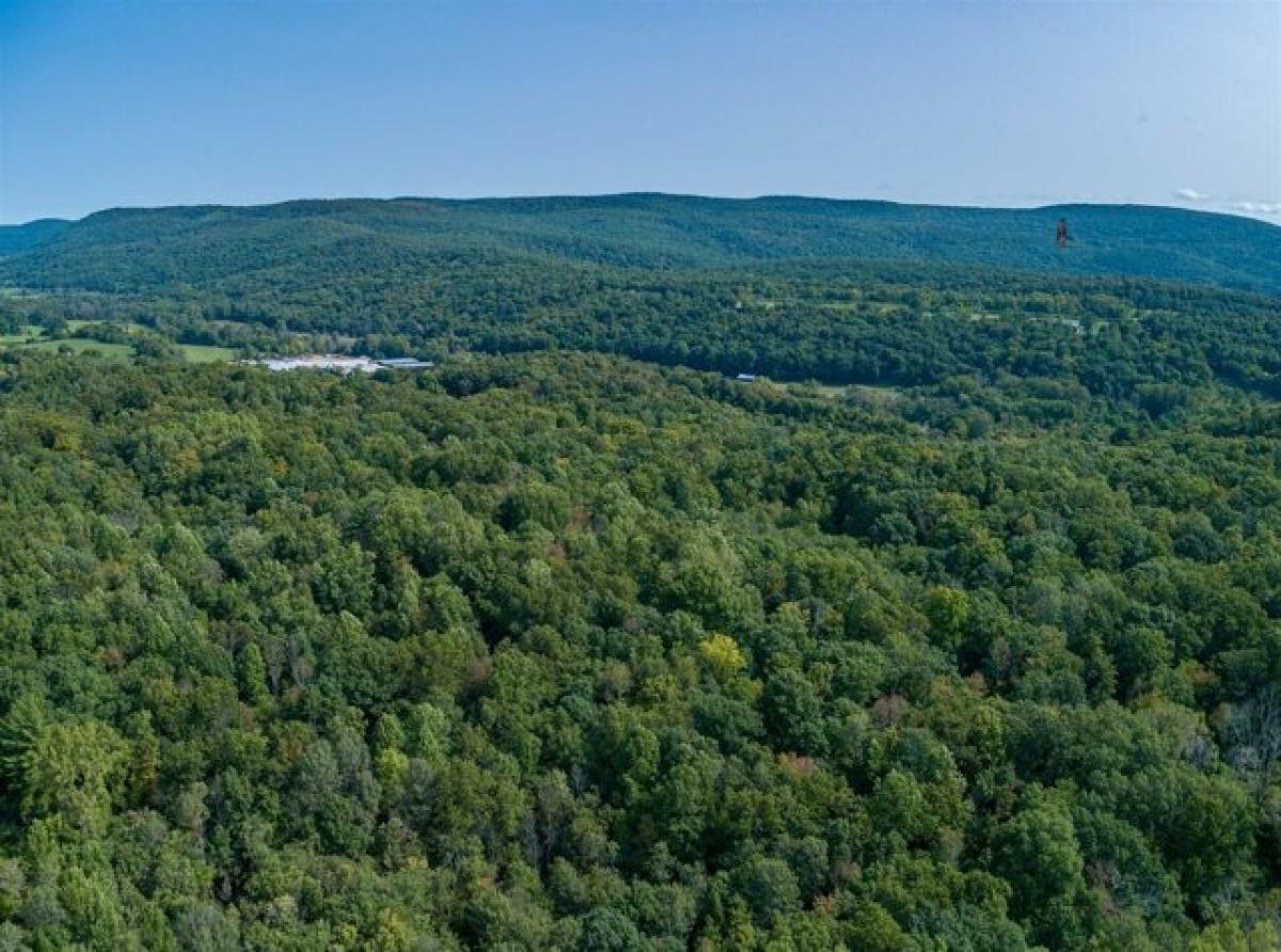 Picture of Residential Land For Sale in Wingdale, New York, United States