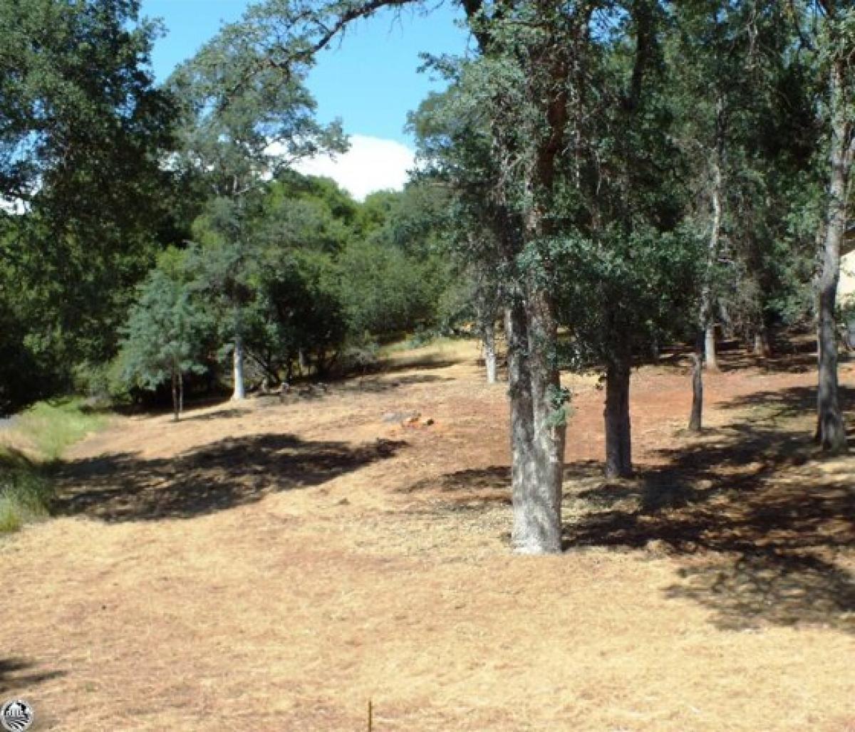 Picture of Residential Land For Sale in Groveland, California, United States