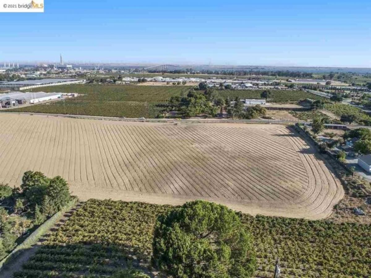 Picture of Residential Land For Sale in Oakley, California, United States