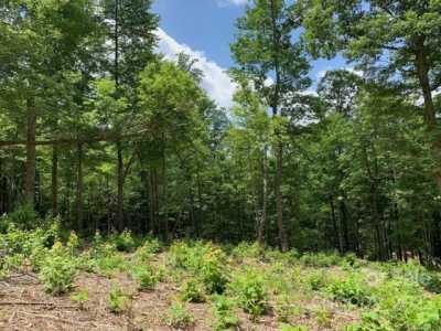 Residential Land For Sale in Candler, North Carolina