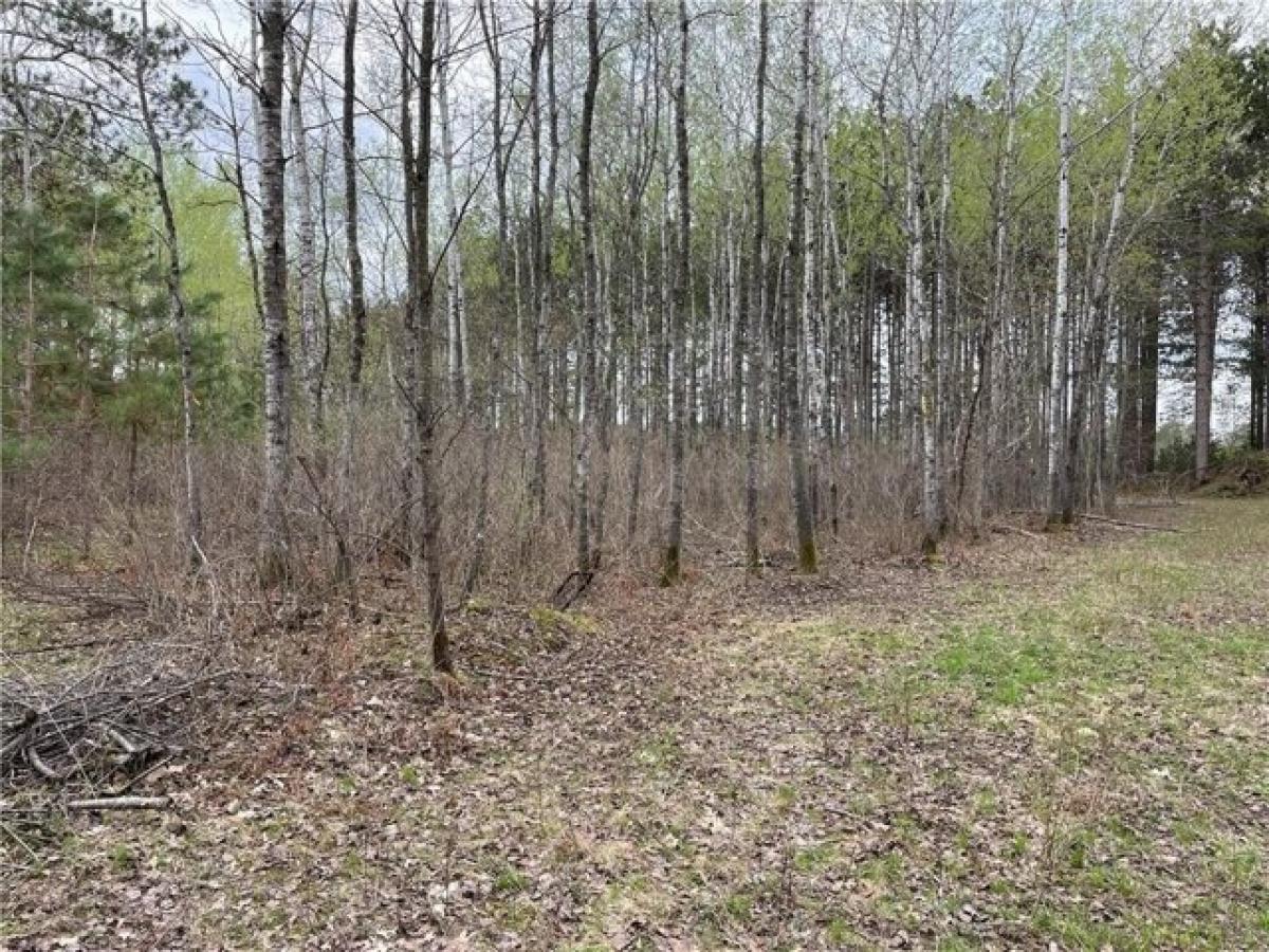 Picture of Residential Land For Sale in Hayward, Wisconsin, United States