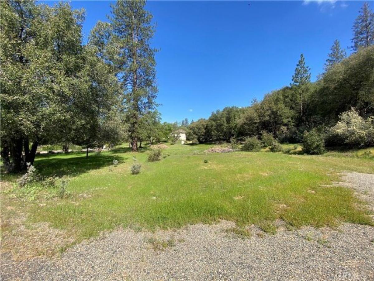 Picture of Residential Land For Sale in Mariposa, California, United States