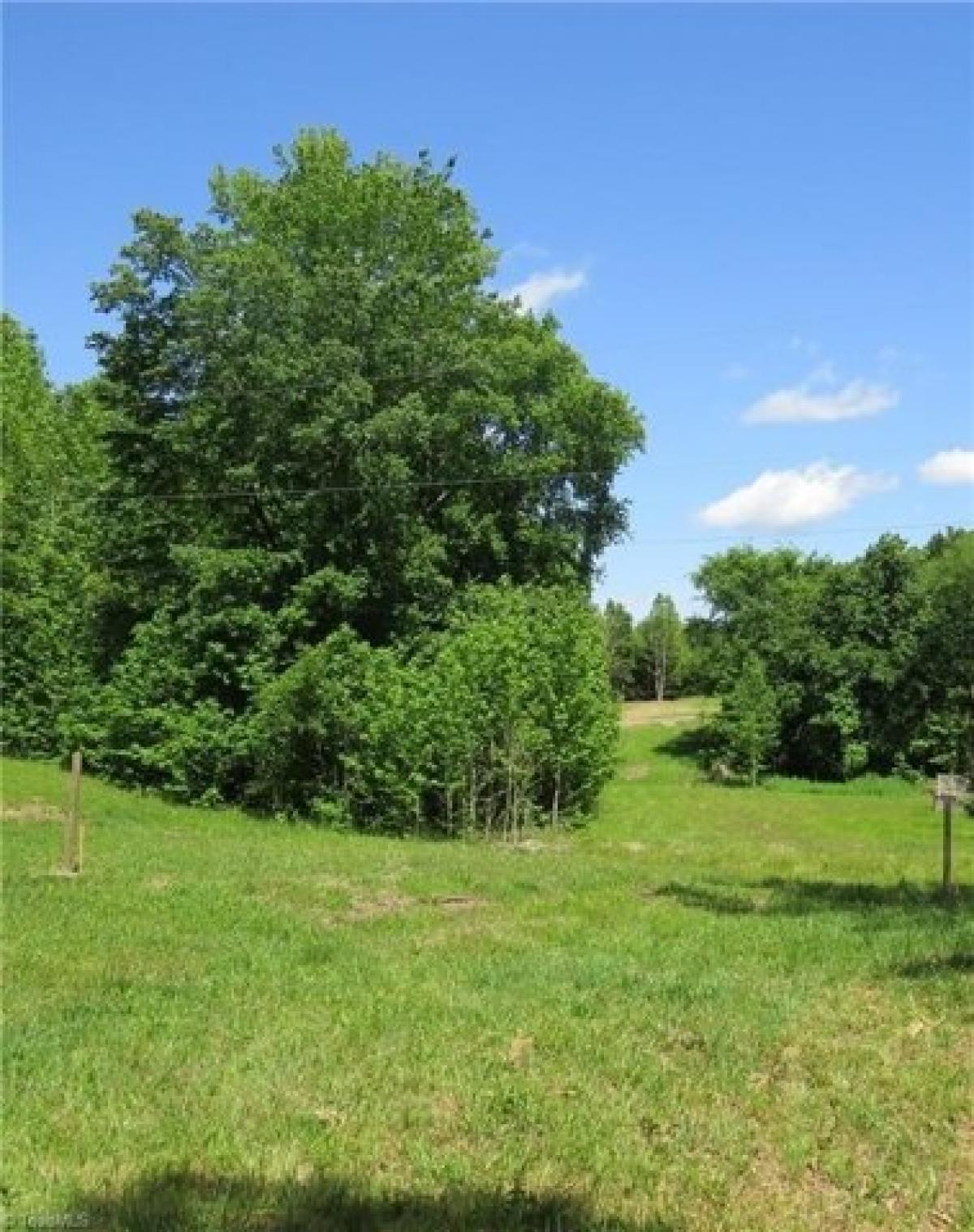 Picture of Residential Land For Sale in Browns Summit, North Carolina, United States