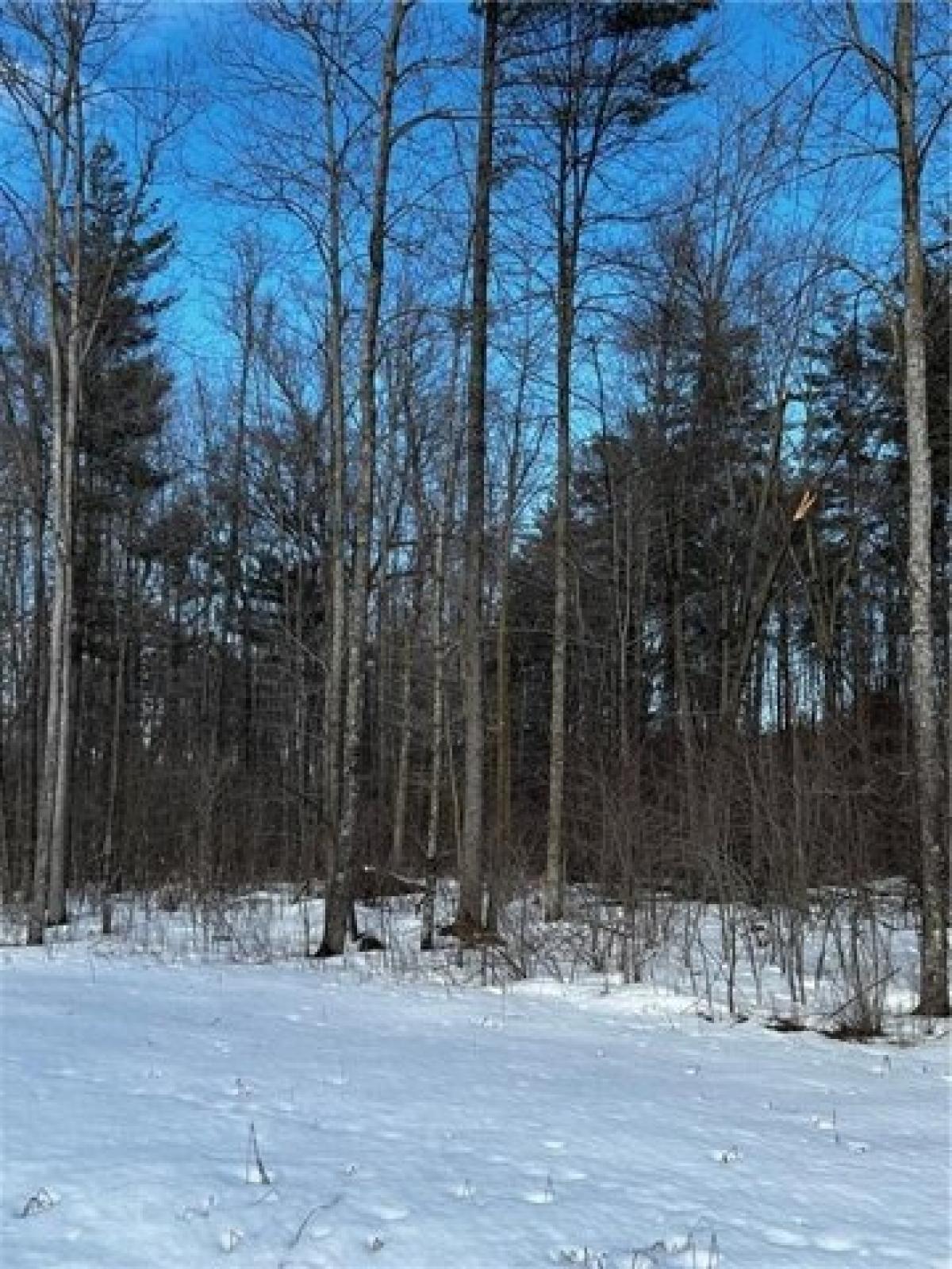 Picture of Residential Land For Sale in Cadott, Wisconsin, United States