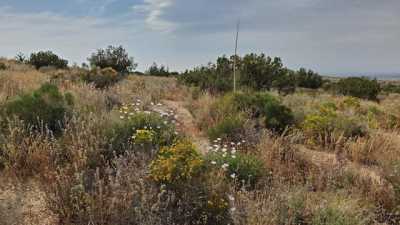 Residential Land For Sale in Pearblossom, California