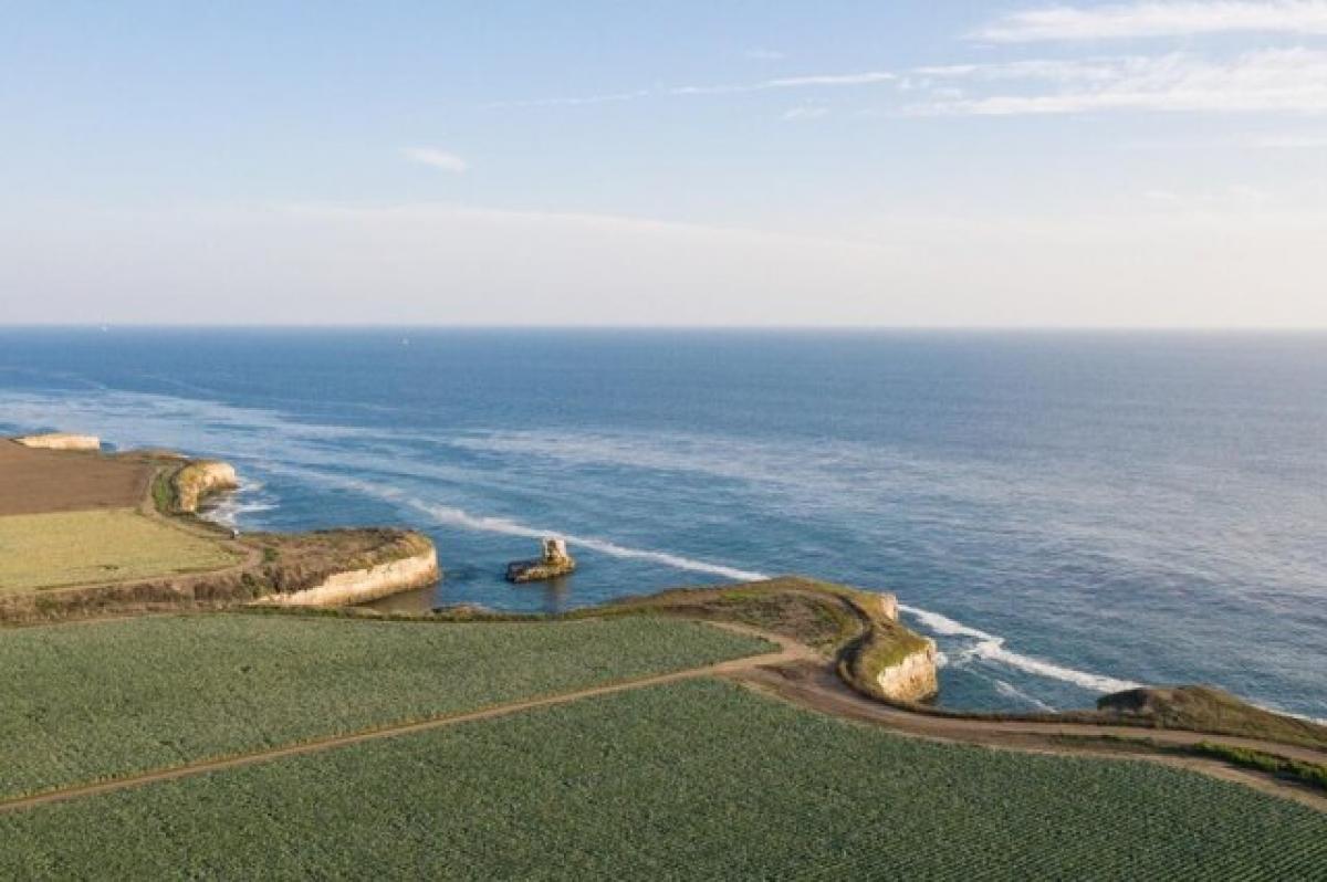 Picture of Residential Land For Sale in Santa Cruz, California, United States