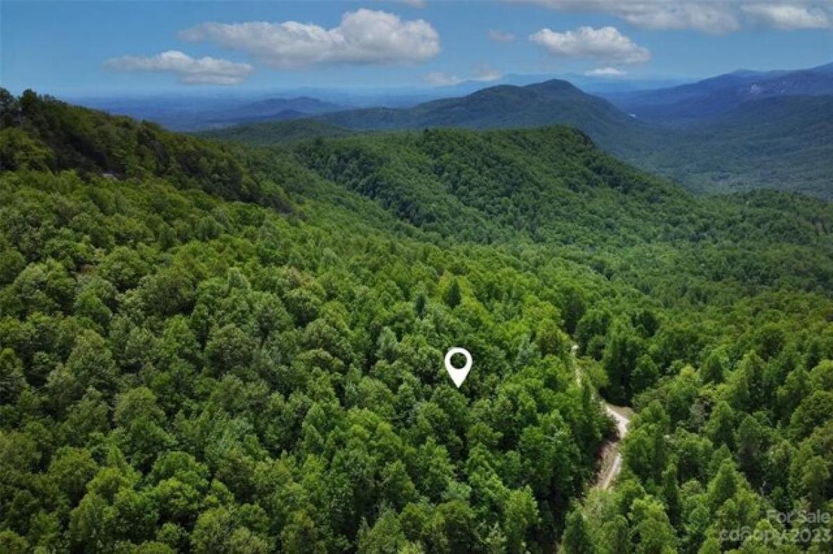 Picture of Residential Land For Sale in Old Fort, North Carolina, United States