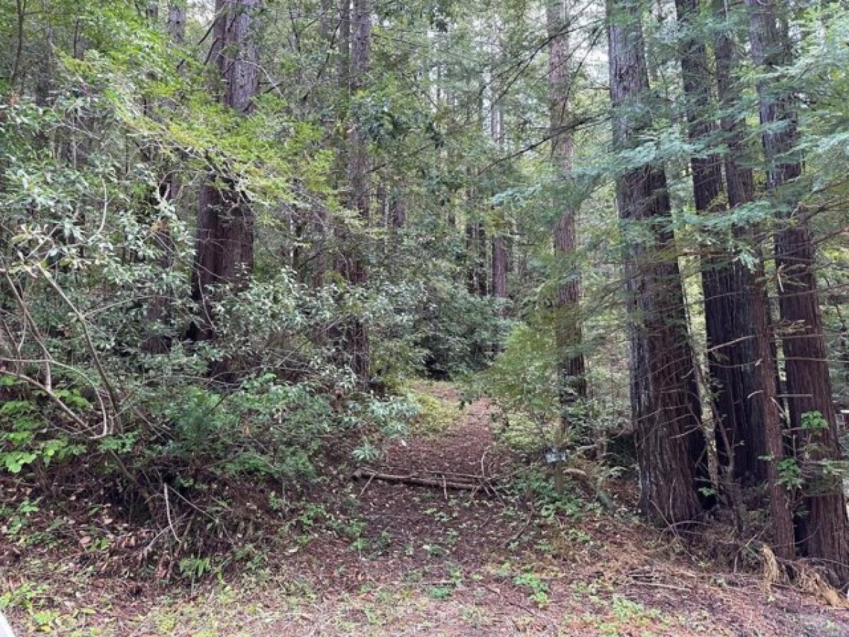 Picture of Residential Land For Sale in Cazadero, California, United States