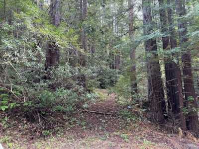 Residential Land For Sale in Cazadero, California