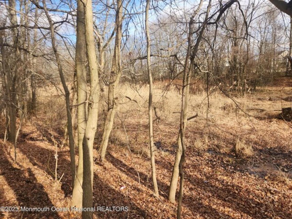 Picture of Residential Land For Sale in Freehold, New Jersey, United States