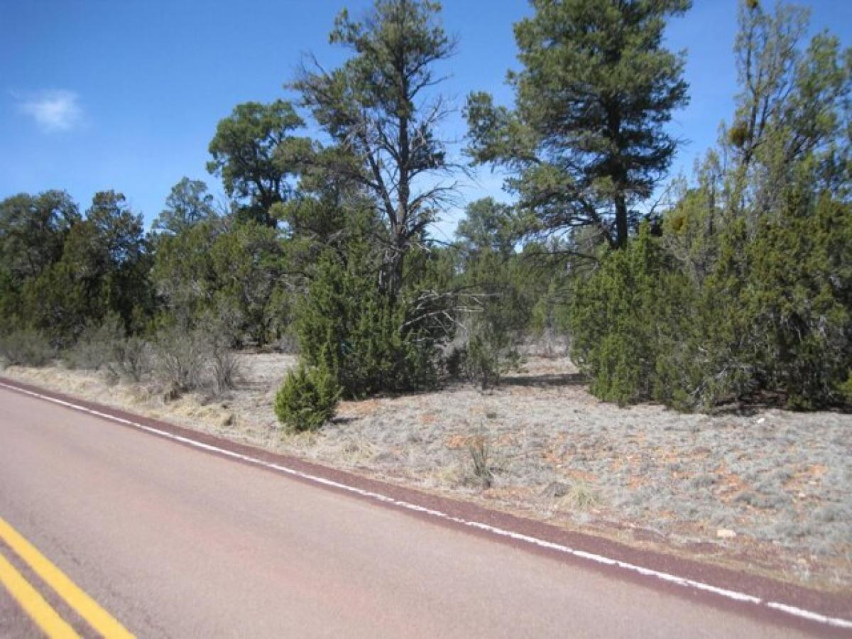 Picture of Residential Land For Sale in Overgaard, Arizona, United States