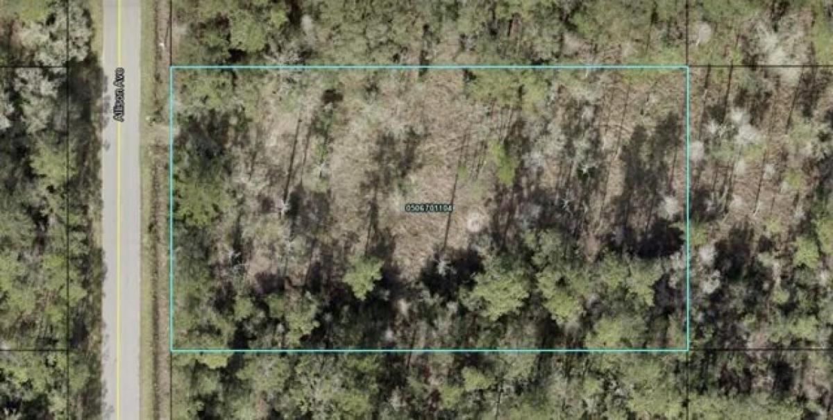 Picture of Residential Land For Sale in Hastings, Florida, United States