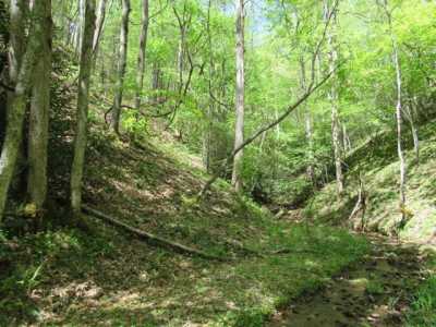 Residential Land For Sale in Damascus, Virginia