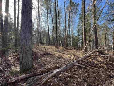Residential Land For Sale in Republic, Michigan