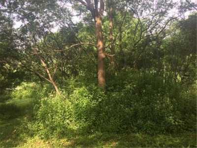 Residential Land For Sale in Colfax, Wisconsin