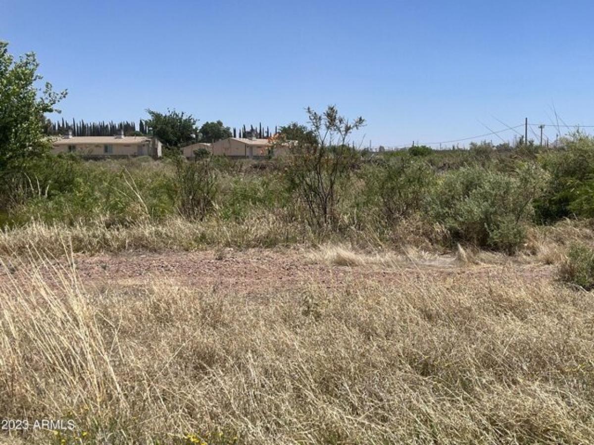 Picture of Residential Land For Sale in Douglas, Arizona, United States