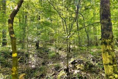Residential Land For Sale in Waterloo, South Carolina