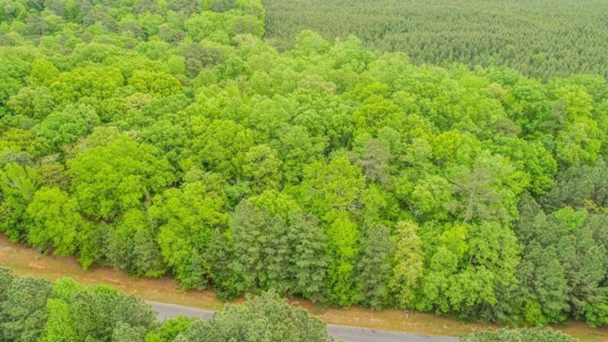 Picture of Residential Land For Sale in Macon, North Carolina, United States