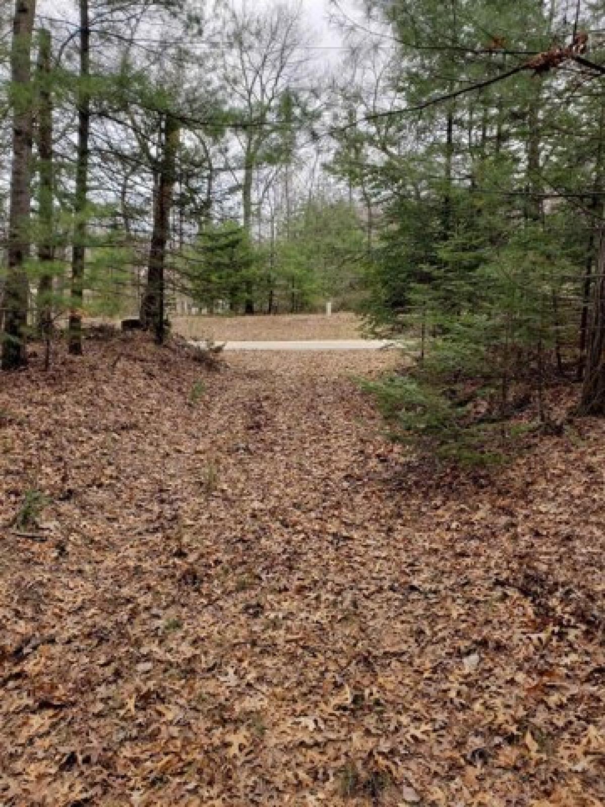 Picture of Residential Land For Sale in Shawano, Wisconsin, United States
