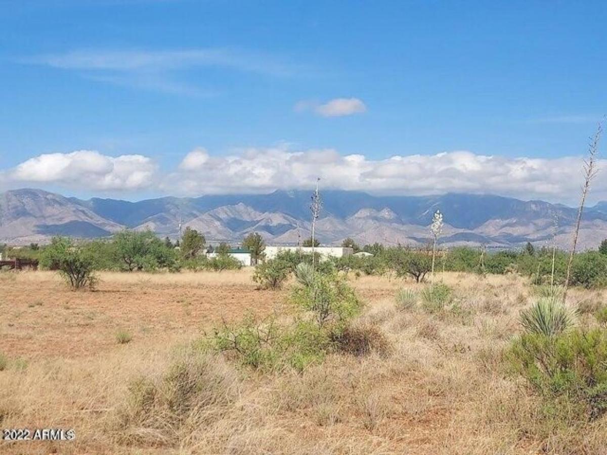 Picture of Residential Land For Sale in Hereford, Arizona, United States
