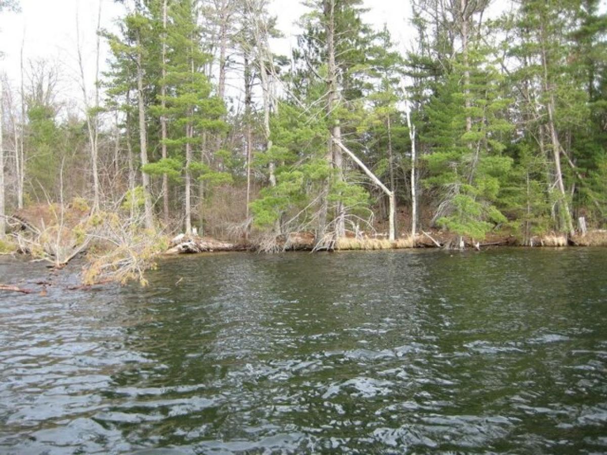 Picture of Residential Land For Sale in Three Lakes, Wisconsin, United States