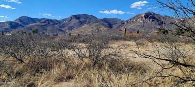 Residential Land For Sale in Bisbee, Arizona