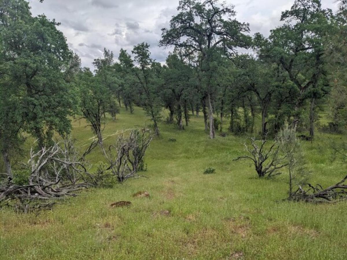 Picture of Residential Land For Sale in Redding, California, United States
