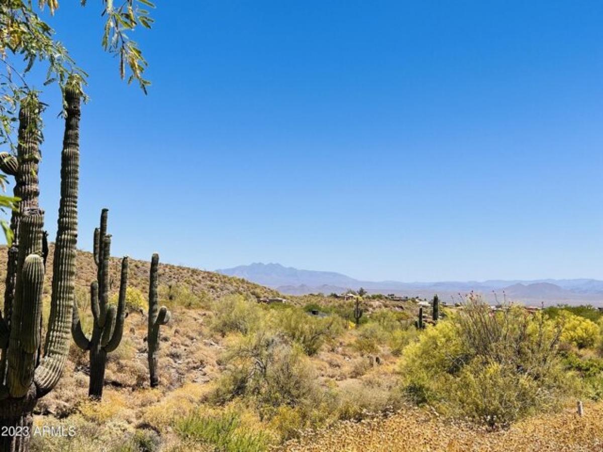 Picture of Residential Land For Sale in Fountain Hills, Arizona, United States