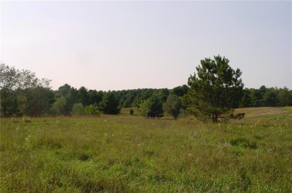 Picture of Residential Land For Sale in Bruce, Wisconsin, United States