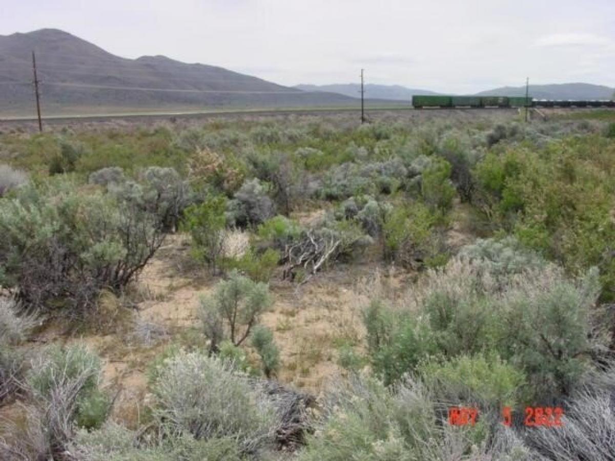 Picture of Residential Land For Sale in Doyle, California, United States