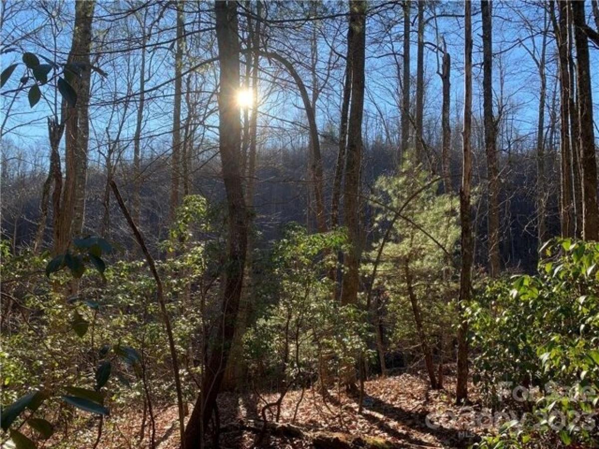 Picture of Residential Land For Sale in Brevard, North Carolina, United States